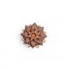 African Flower