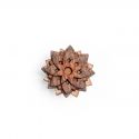 African Flower