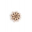 Bellis Flower