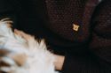 Herman Brooch