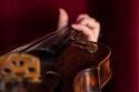 Violin Brooch