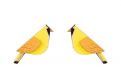 Sunny Cutebird Earrings