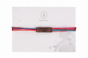 Tropical Wooden Bracelet